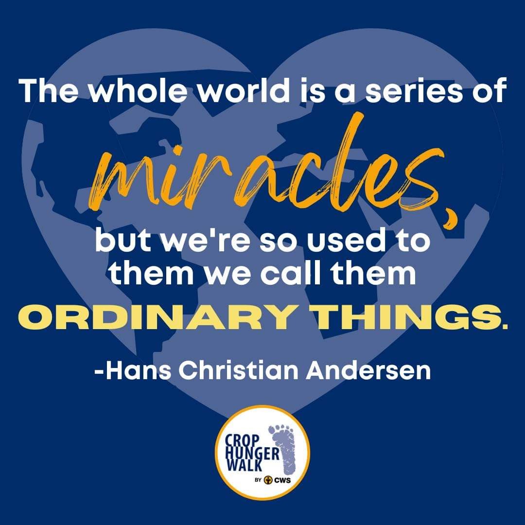 The whole world is a series of miracles but we're so used to them we call them ordinary things. -Hans Christian Andersen
