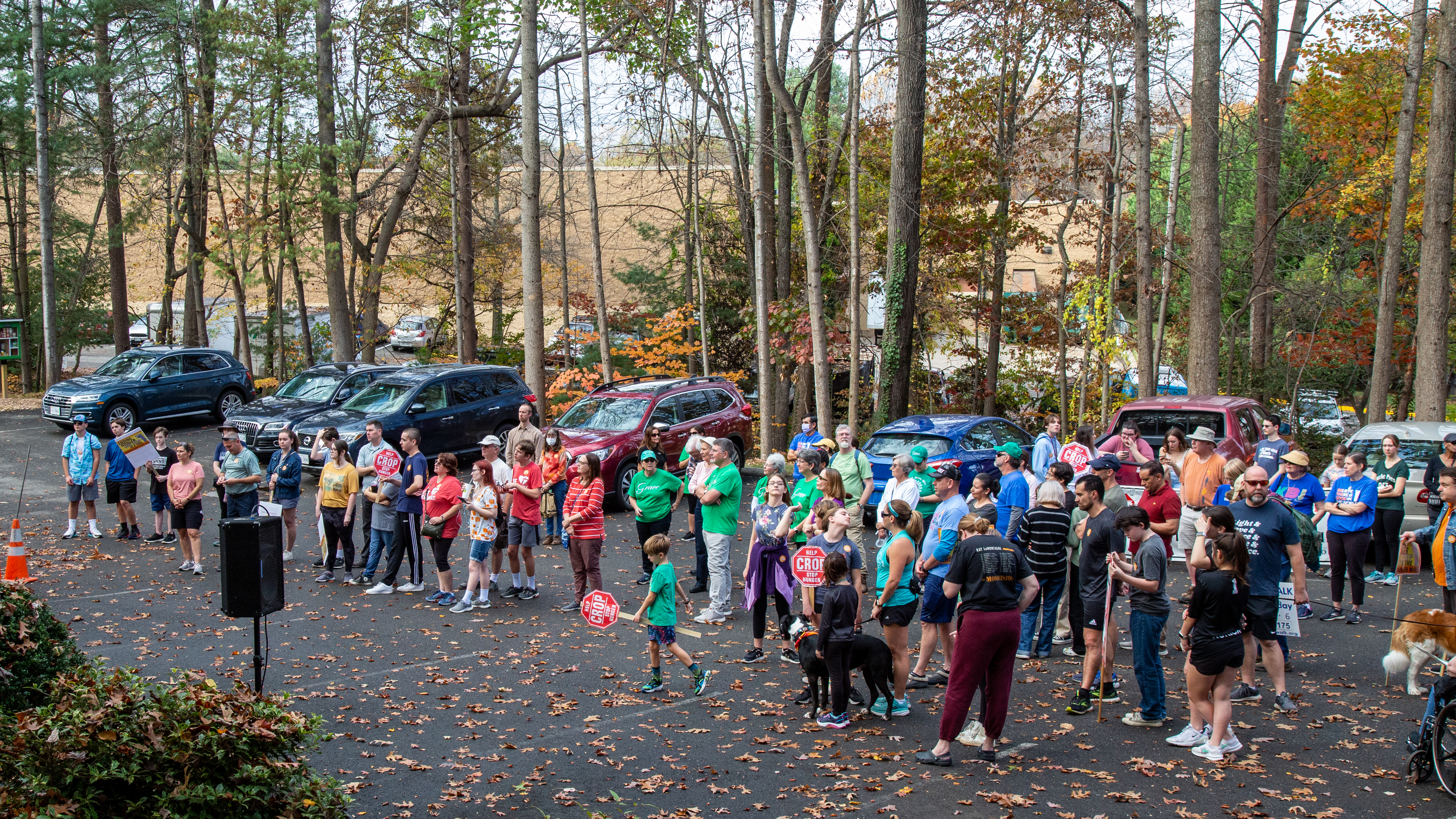 A portion of the walkers.